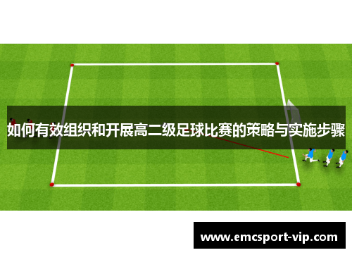 如何有效组织和开展高二级足球比赛的策略与实施步骤