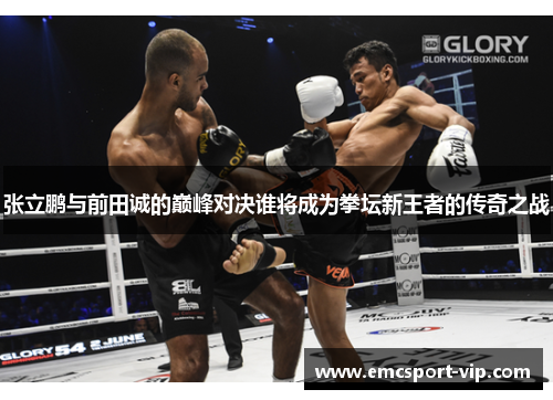 张立鹏与前田诚的巅峰对决谁将成为拳坛新王者的传奇之战