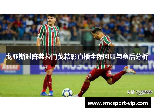 戈亚斯对阵弗拉门戈精彩直播全程回顾与赛后分析